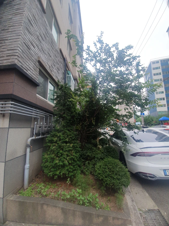 남양주 별내 주택 마당 정리 전