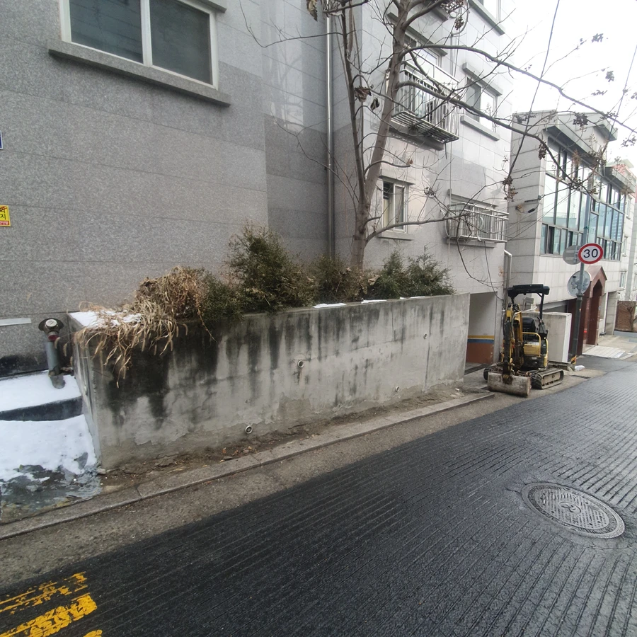양평 화단 나무 제거 전