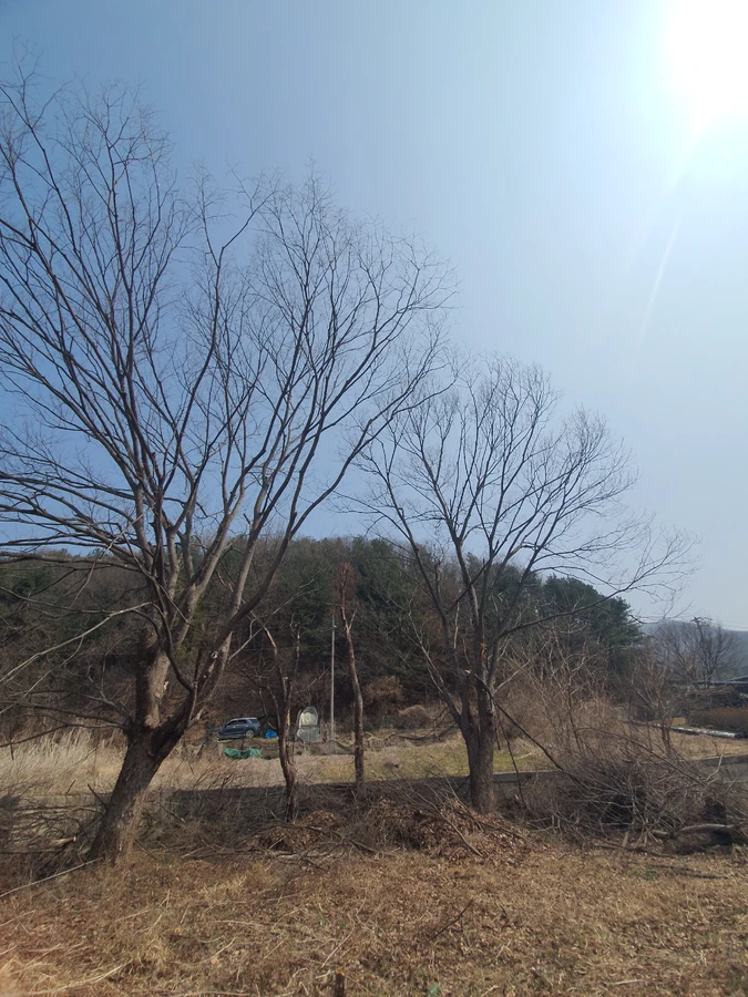사전 확인 - 으뜸종합건설