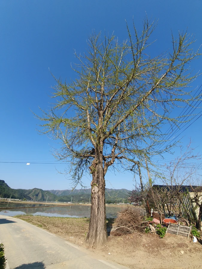 으뜸종합건설 작업 범위